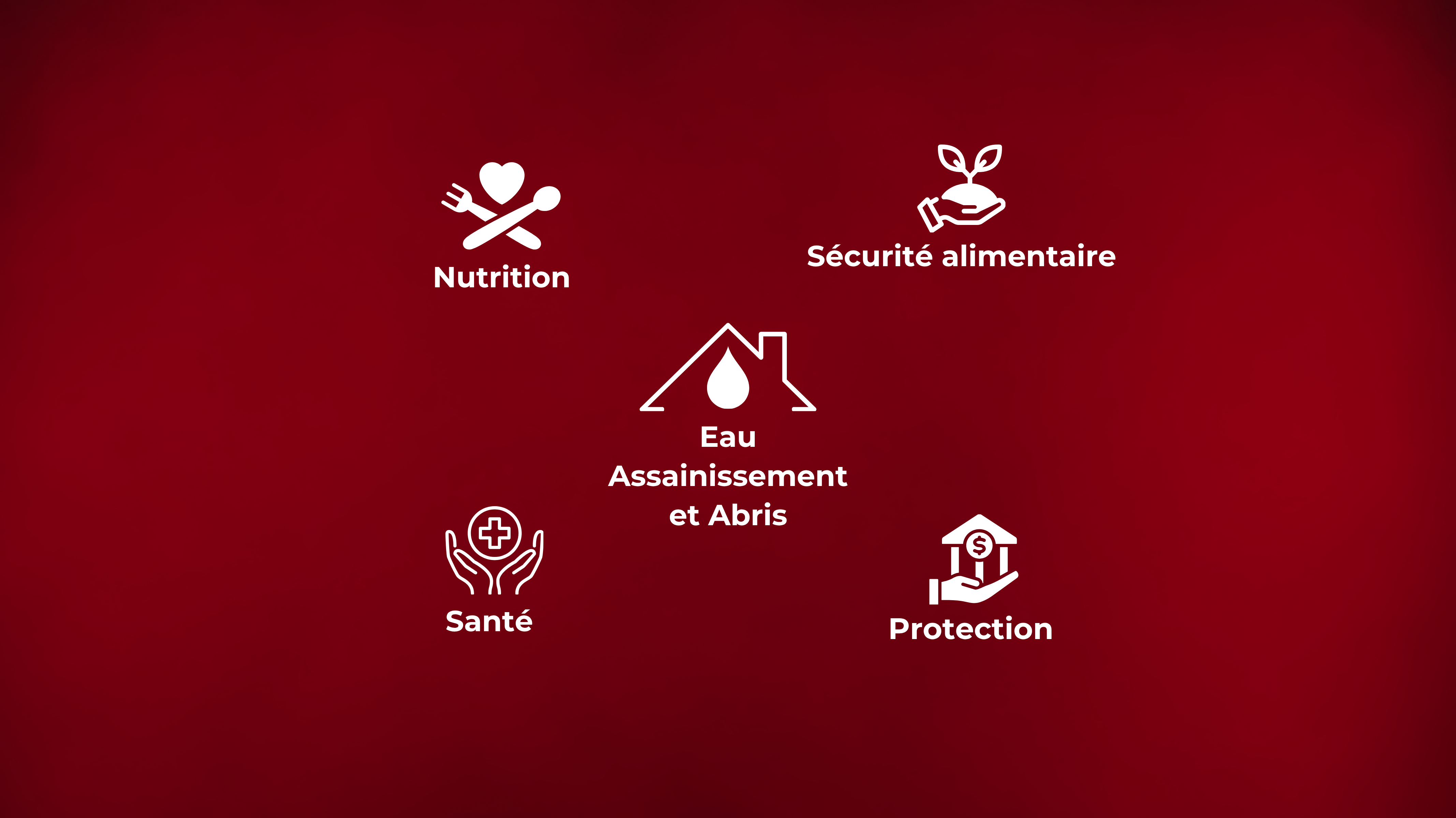 SECTEURS D'INTERVENTION