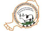 AREN Niger