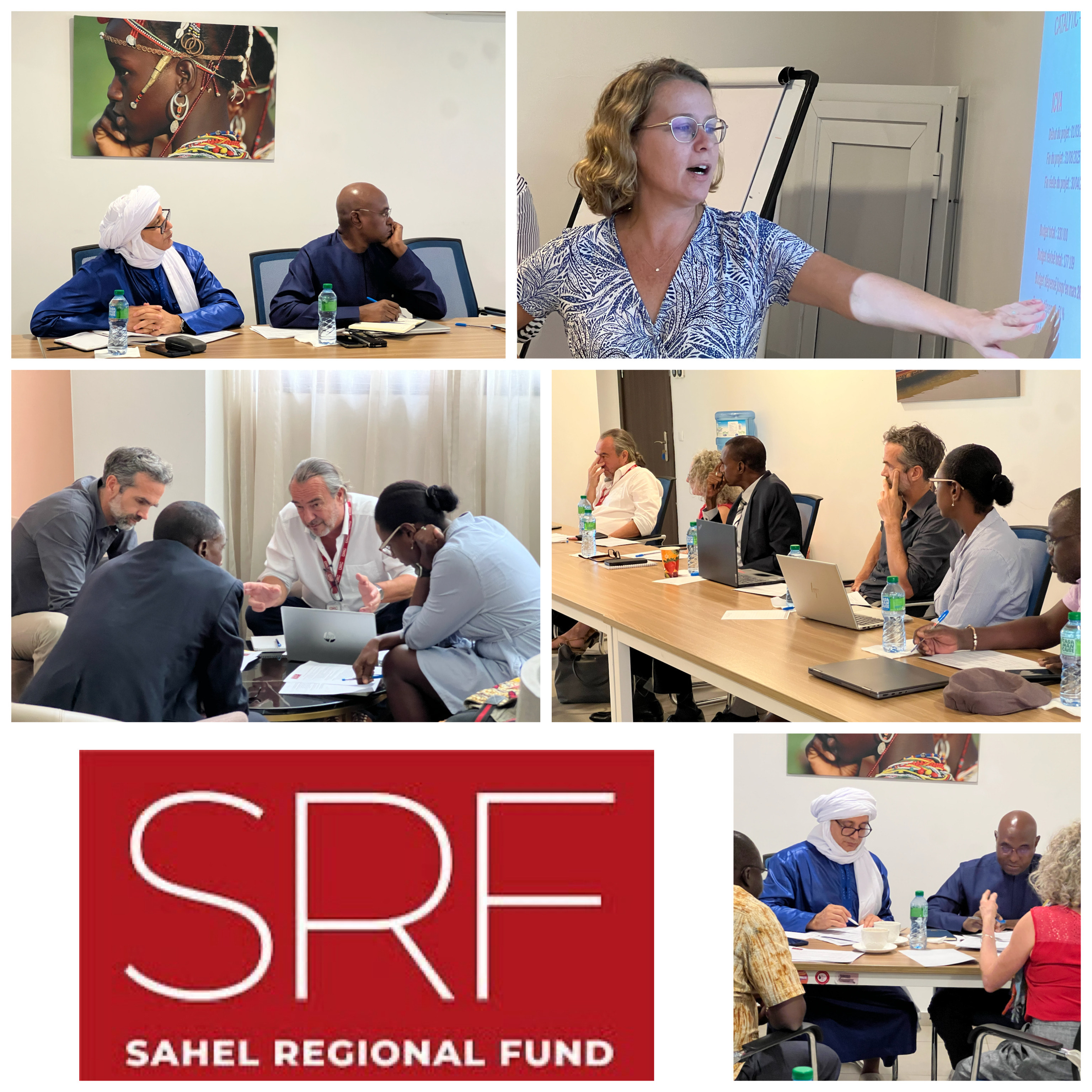 Annual Retreat of the Sahel Regional Fund Board members