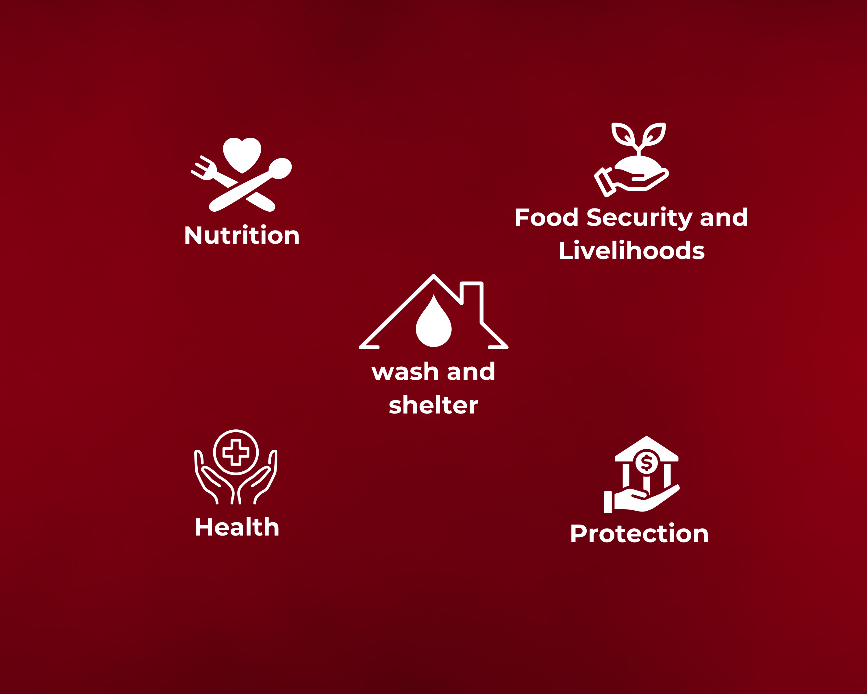 SECTORS  OF INTERVENTION